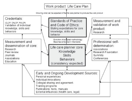 Standards of Practice for Life Care Planners